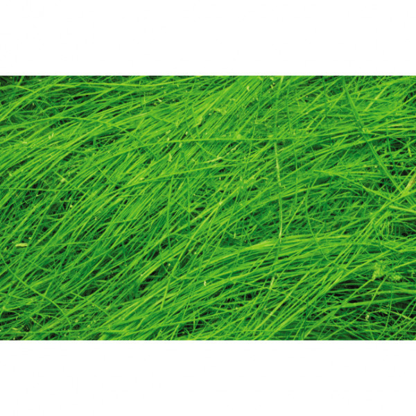 Grasfaser / Sisal Faser, 30g, grün