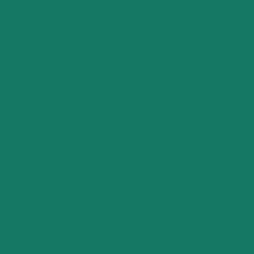 Color-Dekor Dekofolie, 10x20cm,2 Stück, dkl.grün