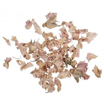 Rosenblütenblätter, getrocknet, hell, 5 g