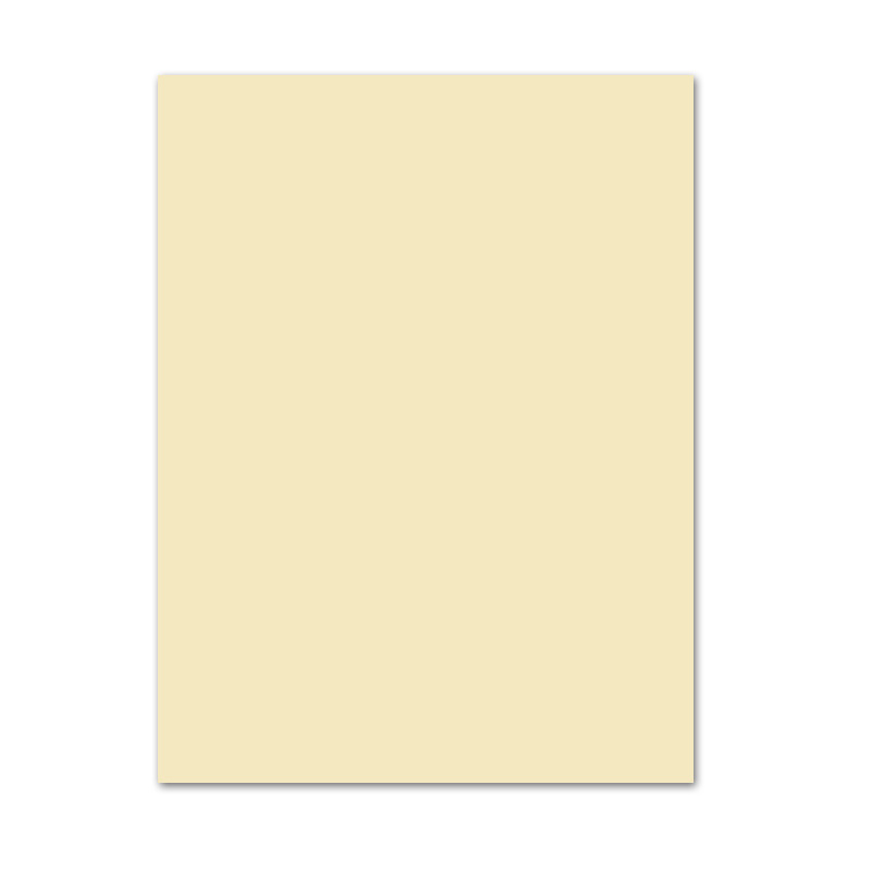 10 Bg. Bastelpapier Bastelkarton Tonkarton Tonpapier beige 50 x 70 cm 